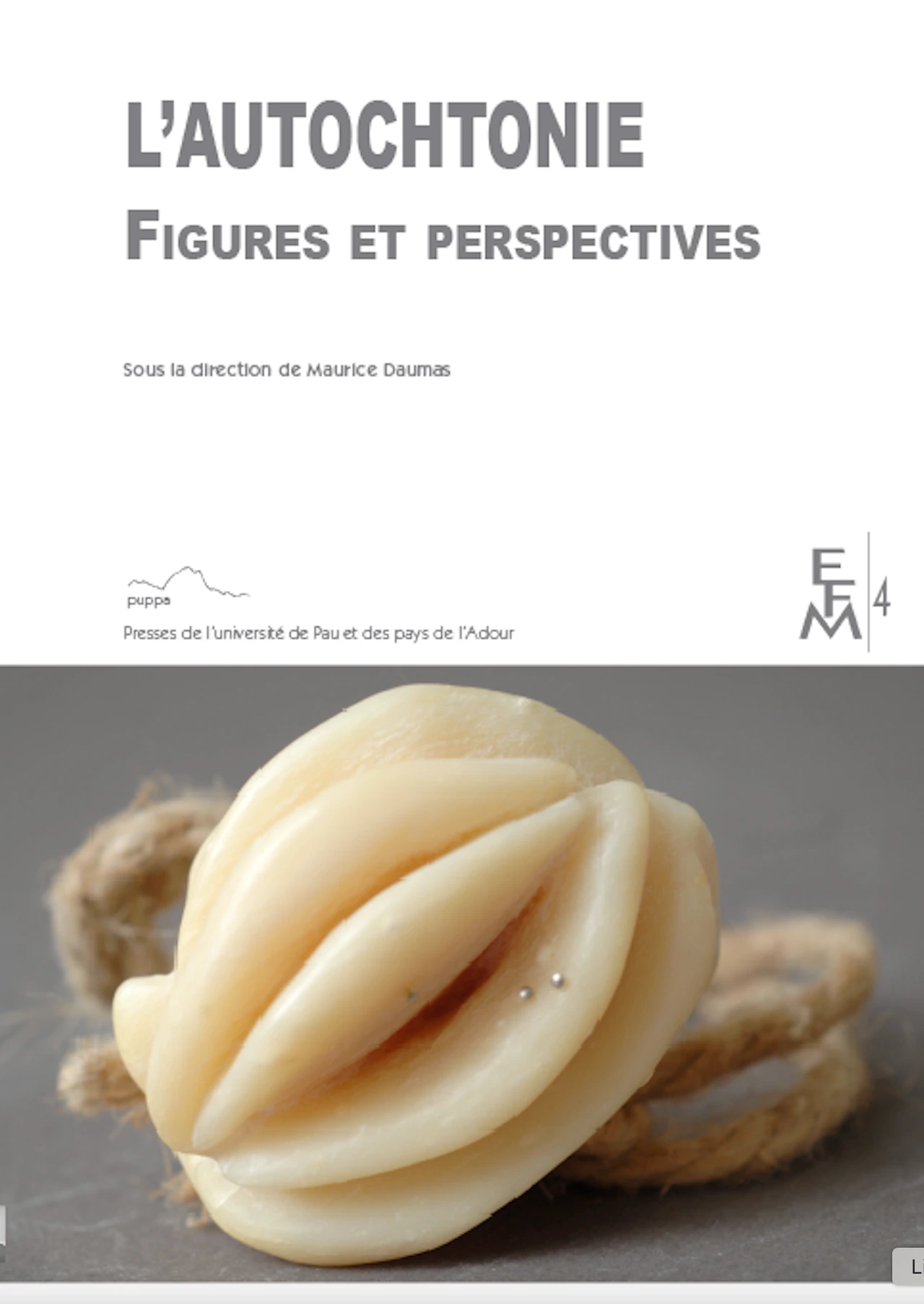 Photographie de couverture de Myriam Mihindou. Le sujet de la photographie est issue d'une série de sculptures initiée en 2007 qui se nomme Fleurs de peau. Les sculptures sont en savon, en paraffine, en latex, et les dimensions sont variables.