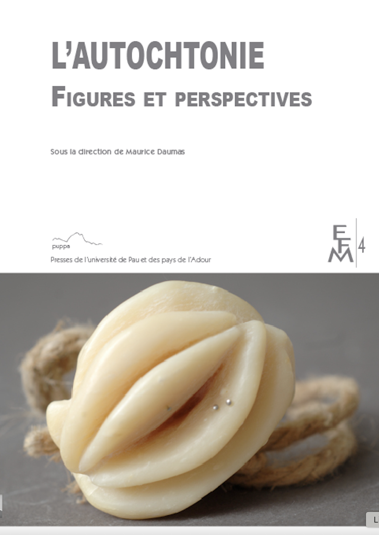 Photographie de couverture de Myriam Mihindou. Le sujet de la photographie est issue d'une série de sculptures initiée en 2007 qui se nomme Fleurs de peau. Les sculptures sont en savon, en paraffine, en latex, et les dimensions sont variables.