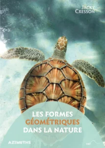 Couverture avec une torture de mer dans l'eau, vue de haut