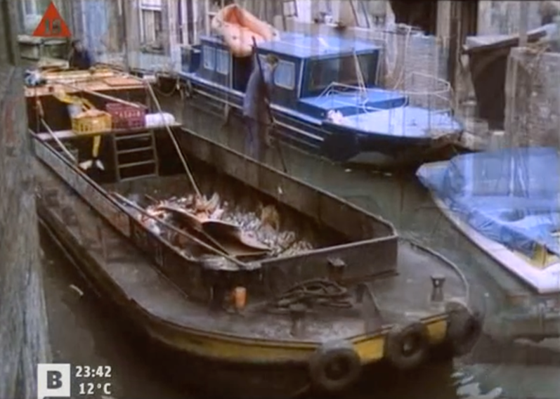 Photogramme tiré du film Tatuaje.
On y voit une barge sur un canal